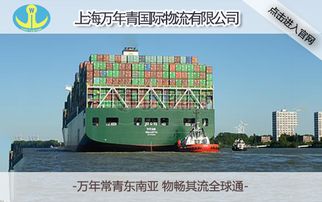 推薦上海國際集裝箱海運運輸代理——萬年青國際物流