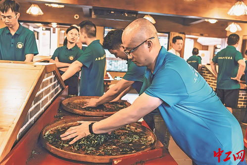 茶香四溢 福建武夷山茶葉加工工職業技能競賽成功舉辦