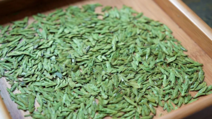 湄潭茶的“質(zhì)”與“新” 傳承與創(chuàng)新中的茶葉加工之道